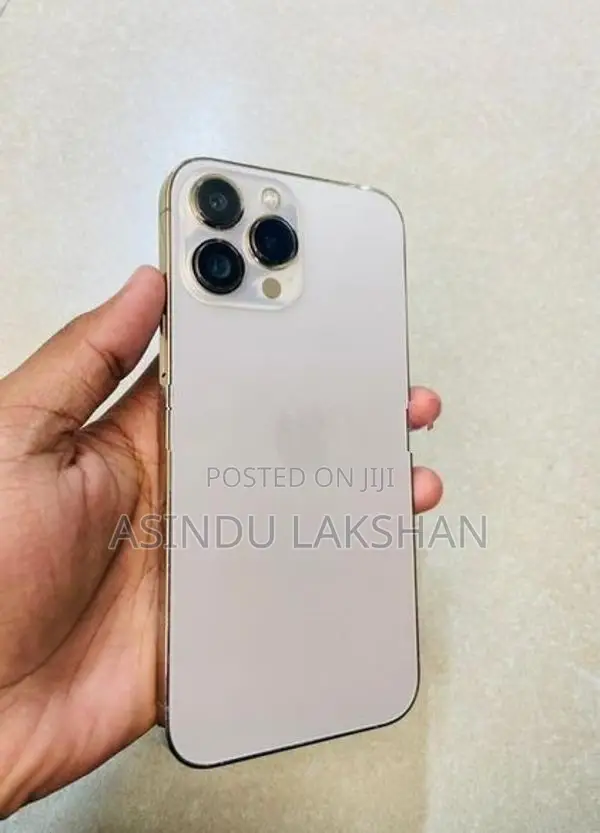 Apple iPhone 13 Pro Max (Used)