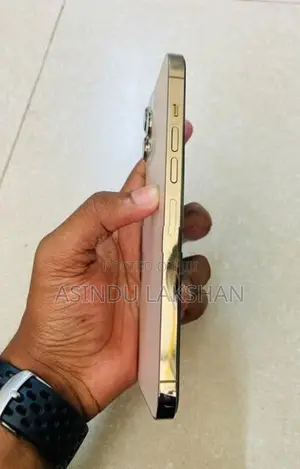 Apple iPhone 13 Pro Max (Used)