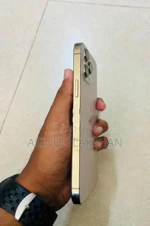 Apple iPhone 13 Pro Max (Used)