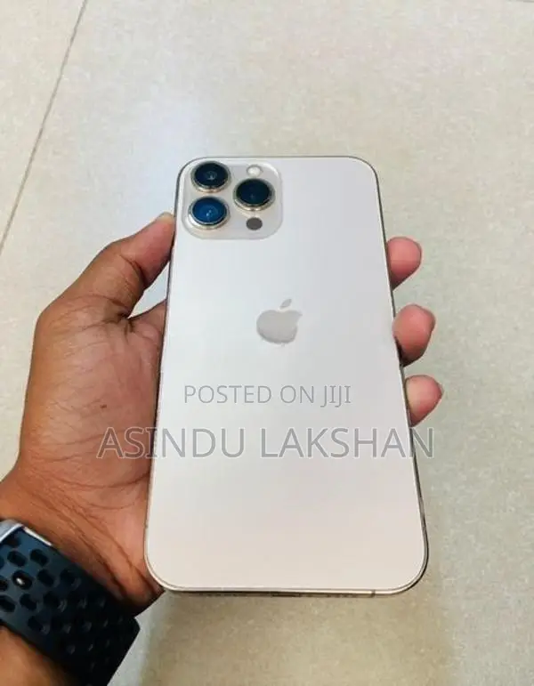Apple iPhone 13 Pro Max (Used)