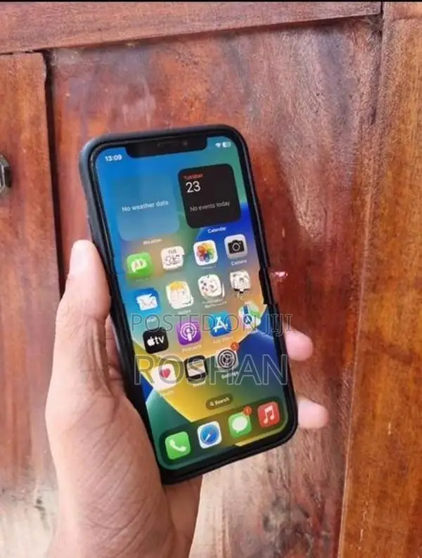 Apple iPhone X 256GB (Used)