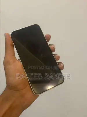 Apple iPhone 12 (Used)