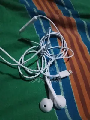 Apple Earphones