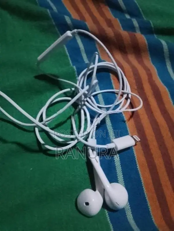 Apple Earphones