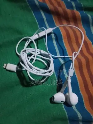Apple Earphones