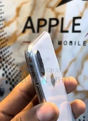 Apple iPhone X (Used)