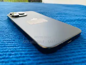 Apple iPhone 13 Pro Max 256GB (Used)