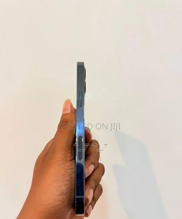 Apple iPhone 12 Pro 256GB (Used)