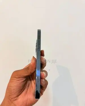Apple iPhone 12 Pro 256GB (Used)