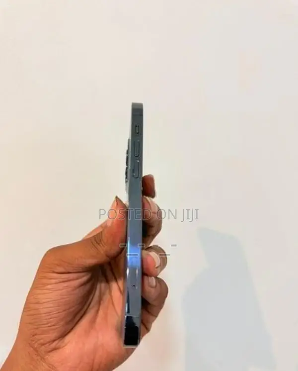 Apple iPhone 12 Pro 256GB (Used)