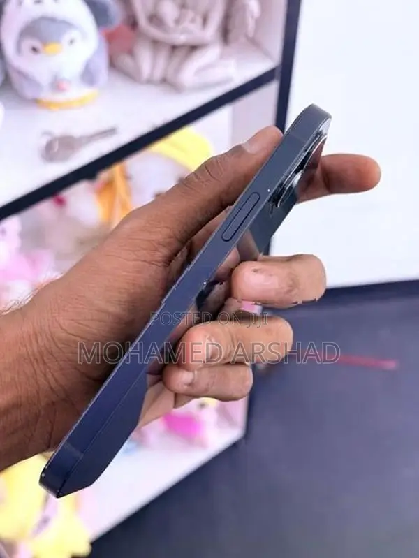 Apple iPhone 12 (Used)