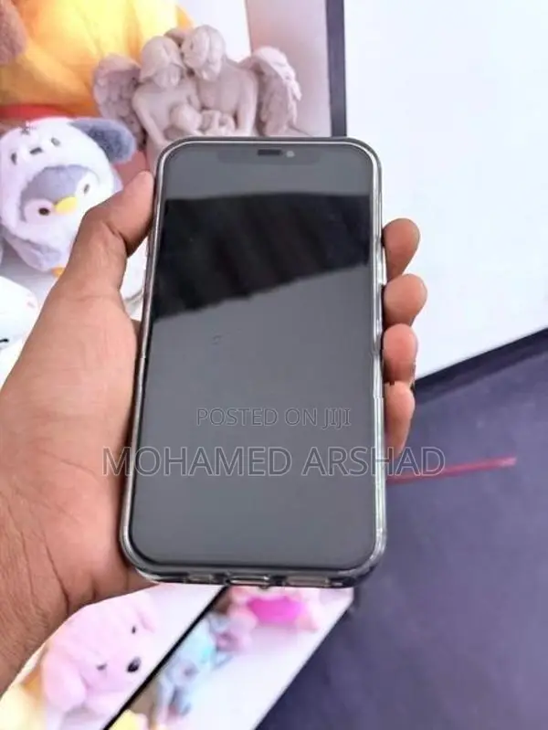 Apple iPhone 12 (Used)
