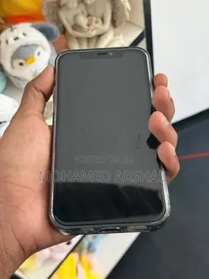 Apple iPhone 12 (Used)