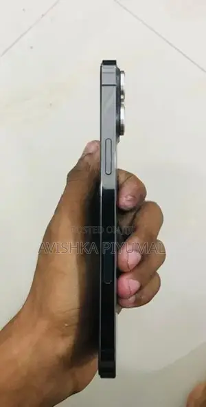 Apple iPhone 13 Pro Max (Used)