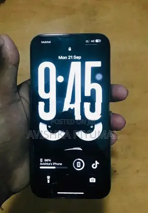 Apple iPhone 13 Pro Max (Used)