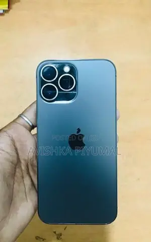 Apple iPhone 13 Pro Max (Used)