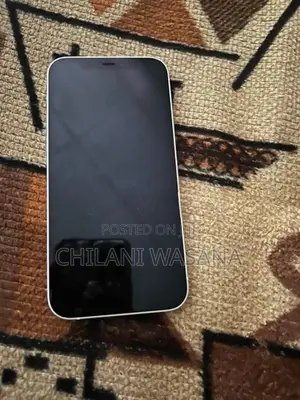 Apple iPhone 12 (Used)