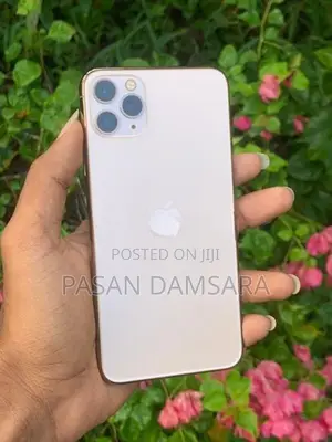 Apple iPhone 11 Pro Max (Used)