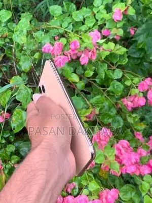 Apple iPhone 11 Pro Max (Used)