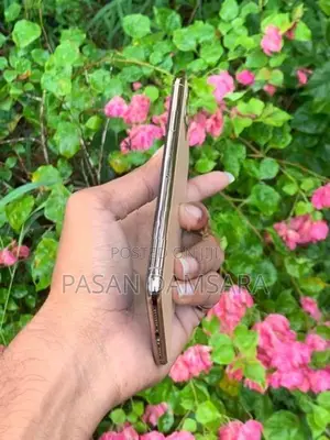 Apple iPhone 11 Pro Max (Used)