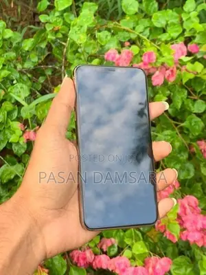Apple iPhone 11 Pro Max (Used)