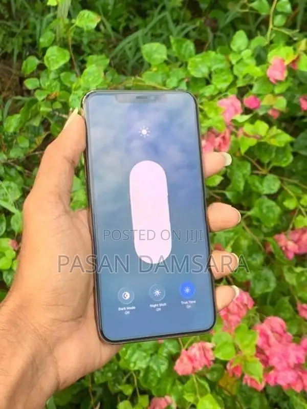 Apple iPhone 11 Pro Max (Used)
