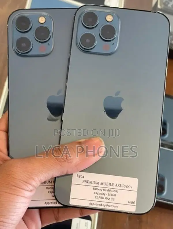 Apple iPhone 12 Pro Max 256GB (Used)