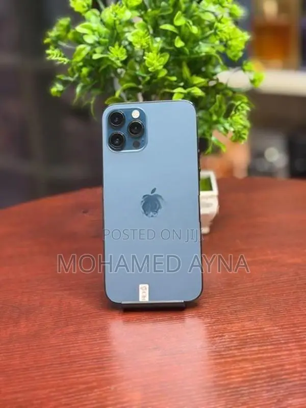 Apple iPhone 12 Pro Max (Used)