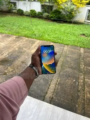 Apple iPhone X (Used)