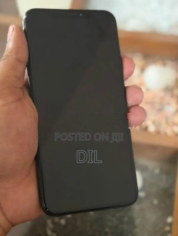 Apple iPhone XS Max (Used)