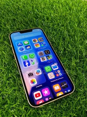 Apple iPhone 13 (Used)