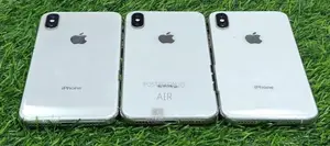 Apple iPhone X 256GB (Used)