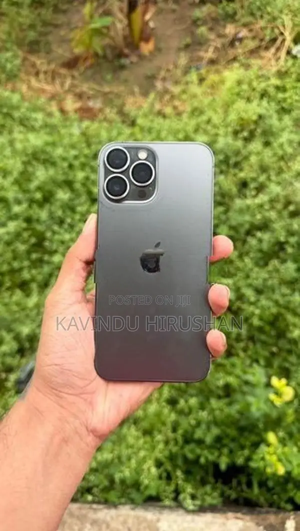 Apple iPhone 13 Pro Max (Used)