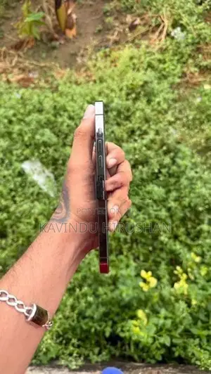 Apple iPhone 13 Pro Max (Used)