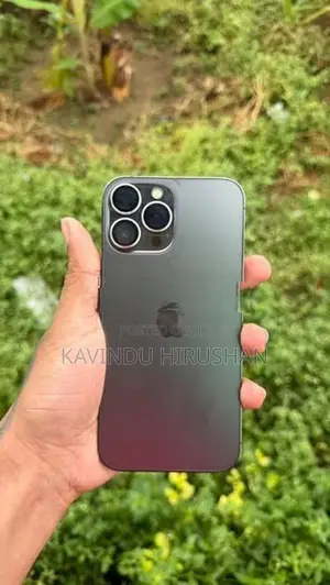 Apple iPhone 13 Pro Max (Used)