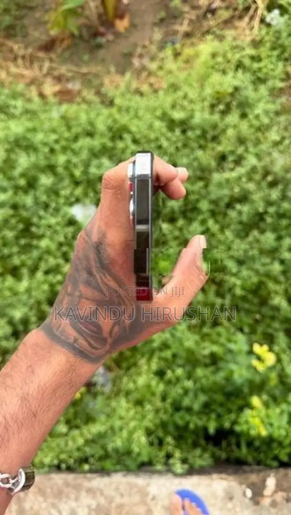 Apple iPhone 13 Pro Max (Used)
