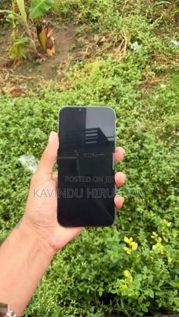 Apple iPhone 13 Pro Max (Used)