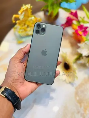 Apple iPhone 11 Pro Max 256GB (Used)