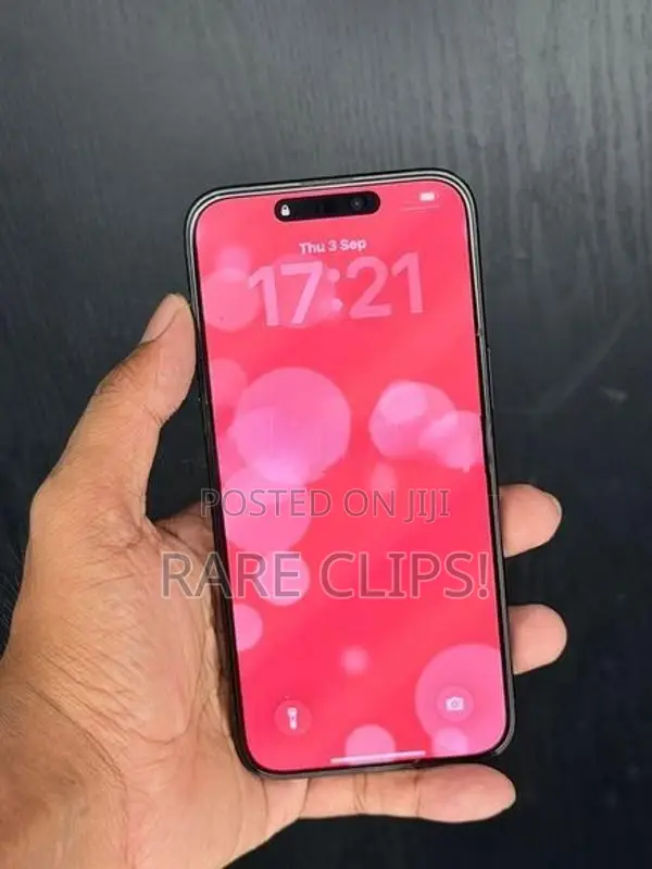 Apple iPhone 15 Pro Max 256GB (Used)