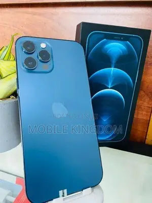 Apple iPhone 12 Pro Max 256GB Blue Fullset (Used)