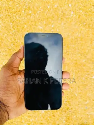 Apple iPhone 12 (Used)
