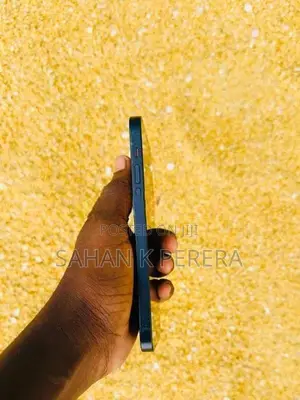 Apple iPhone 12 (Used)