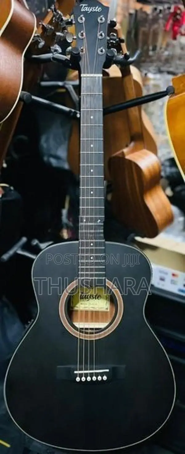 Semi Acoustic Guitar