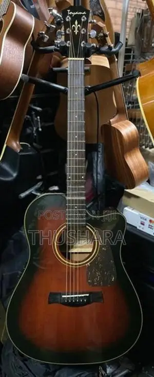 Toyama Solid Semi Acoustic Guitar