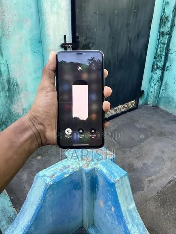 Apple iPhone XS Max (Used)