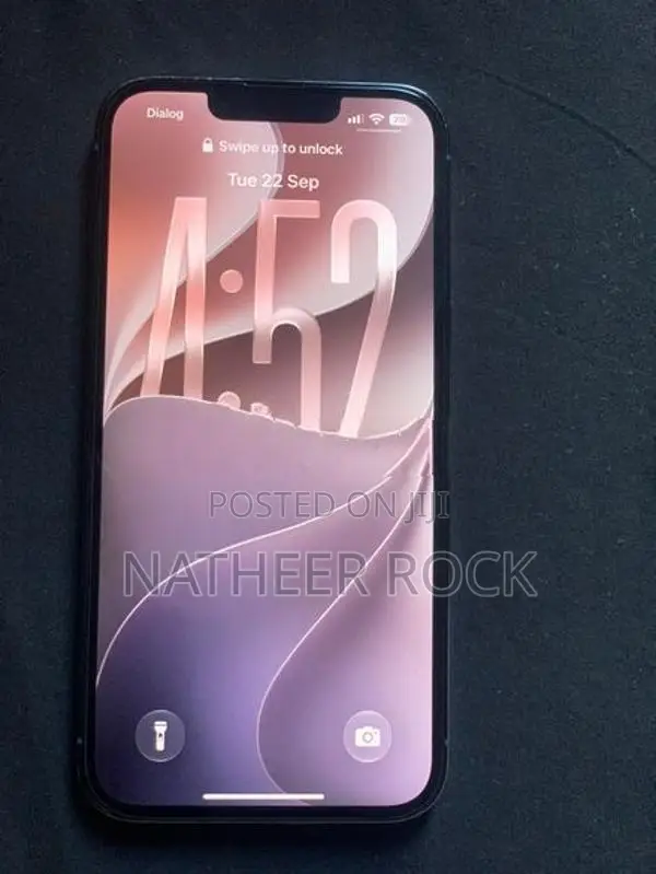 Apple iPhone 13 Pro (Used)