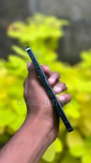 Apple iPhone 12 Pro (Used)