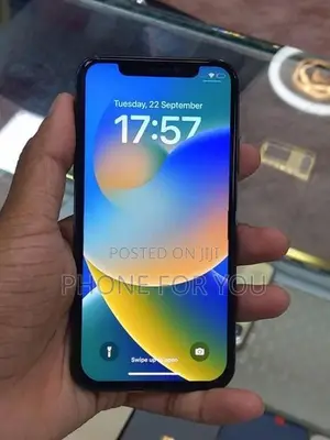 Apple iPhone X (Used)