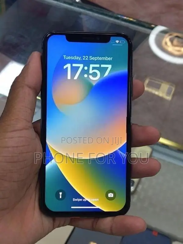Apple iPhone X (Used)