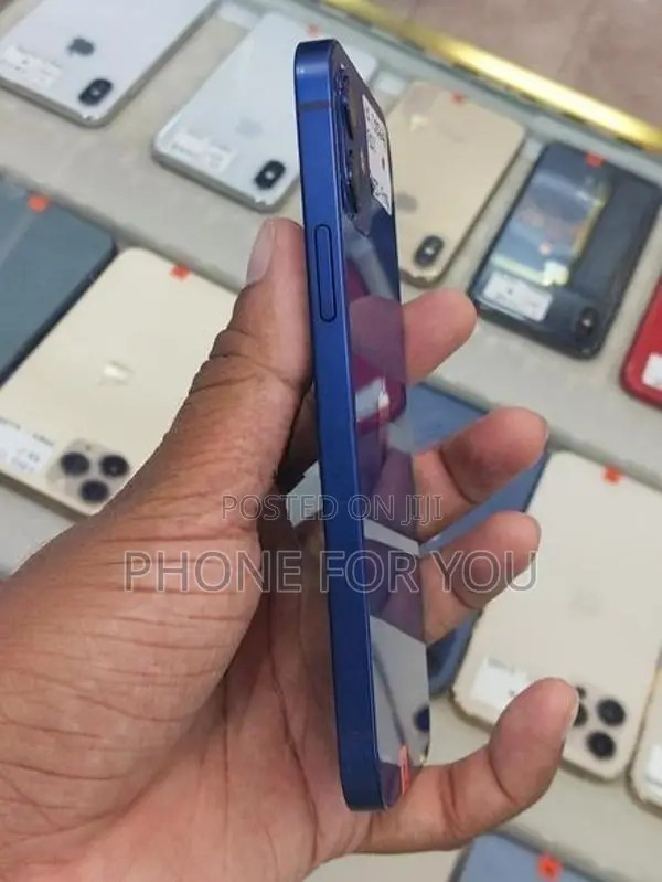 Apple iPhone 12 (Used)